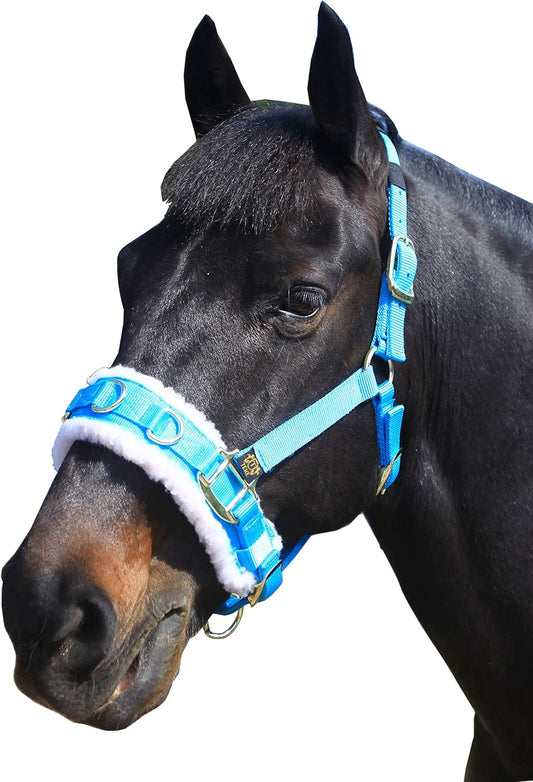 T TEKE Lunge Cavesson with Fleece Lined Nose Band and Crown