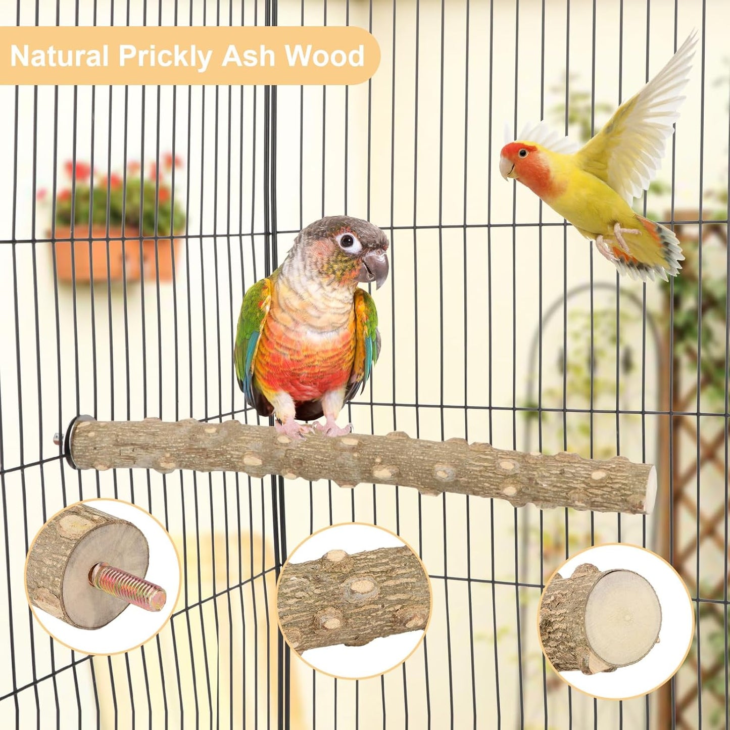 Hypeety Natural Prickly Ash Wood Perch Stand Toy Parrot Stand Holder Paw Grinding Perch Bird Chew Perch for Budgie Parakeet Cockatiel Conure Lovebird (11.79 inch)