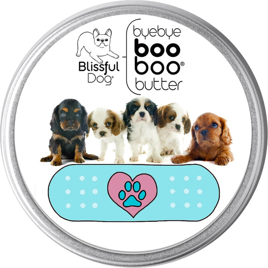 The Blissful Dog 4 oz TIN Cavalier King Charles Spaniel Booboo Butter