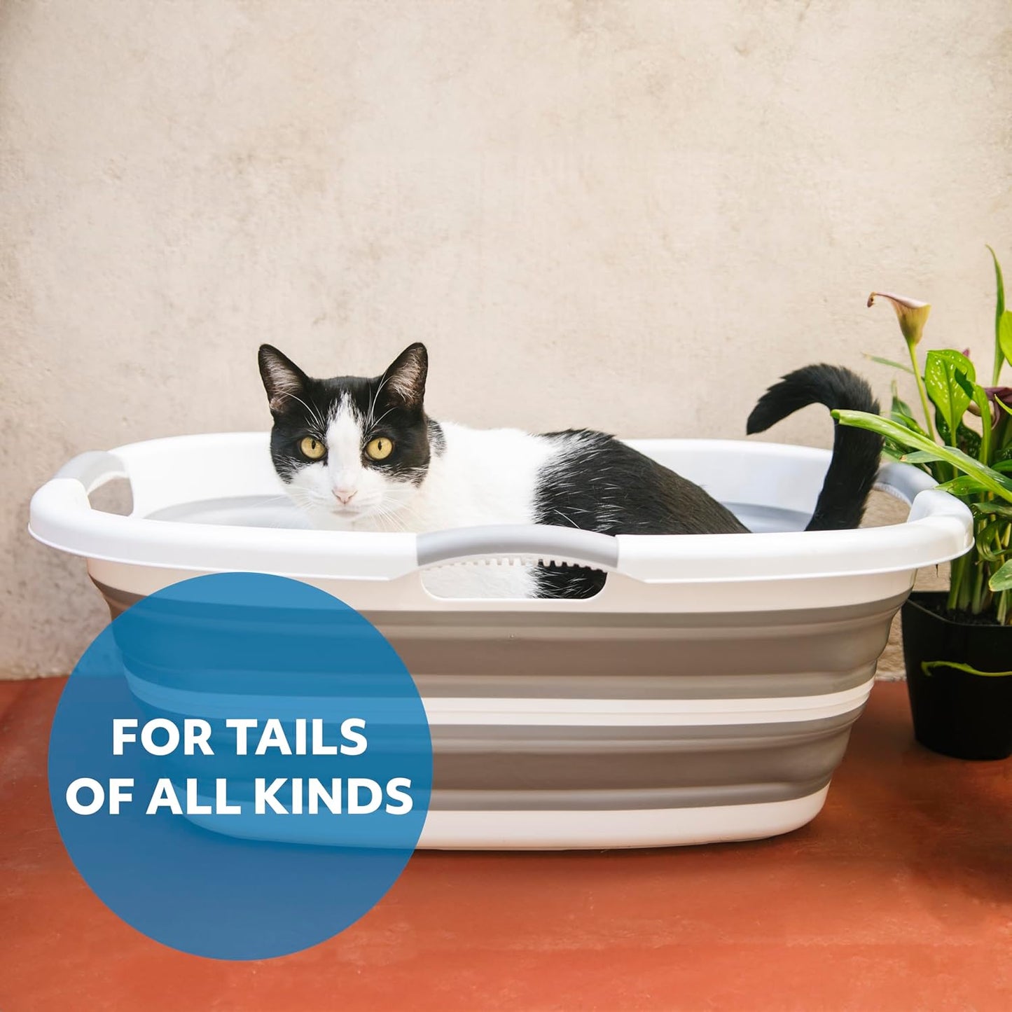 Smoochie Collapsible Pet Bathtub & Washing Station – Portable, Space-Saving Tub for Dogs & Cats, Indoor & Outdoor Grooming