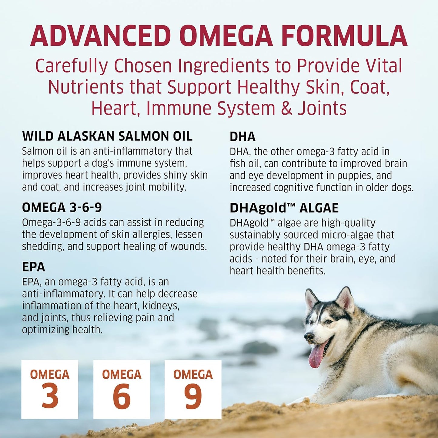 Salmon Oil for Dogs - Wild Alaskan Fish Oil for Dogs - Omega 3 for Dogs - Itch Relief for Dogs - Dog Joint Health - Dog Allergy Relief- Dog Itch Relief - 120 Dog Fish Oil Soft Chews
