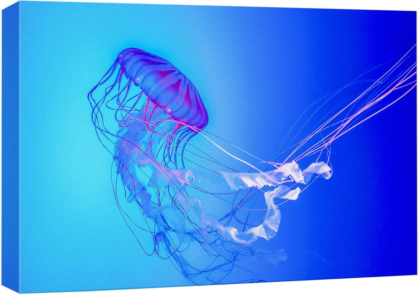 wall26 Canvas Print Wall Art Vibrant Neon Blue Pink Jellyfish Deep Sea Nature Animals Photography Realism Rustic Scenic Landscape Wilderness Earth Colorful for Living Room, Bedroom, Office - 24"x36"