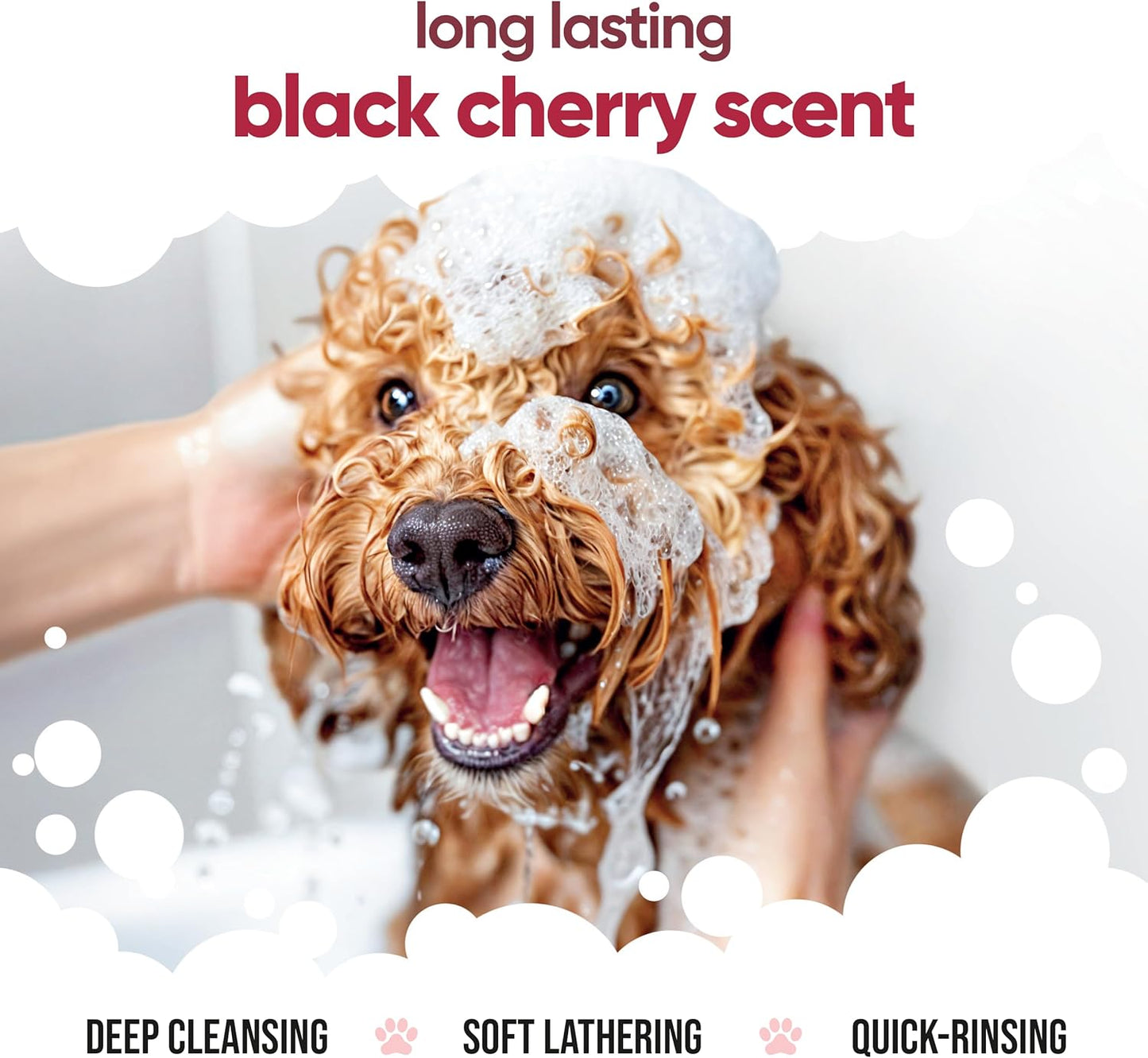 Black Cherry Dog Shampoo by Buddycare | Deep Cleansing Shampoo for Dogs | Black Cherry Scented | with Aloe Vera and Pro Vitamin B5 (169.07oz)