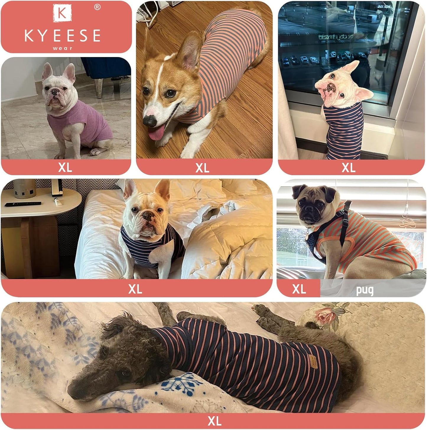 KYEESE 2Pack Dog Sweater Warm Dogs Clothes Stretchy Dachshund Clothes Turtleneck Dog Sweaters for Medium Dogs Girl Soft Pet Coats Turtleneck Pets Sweatshirt
