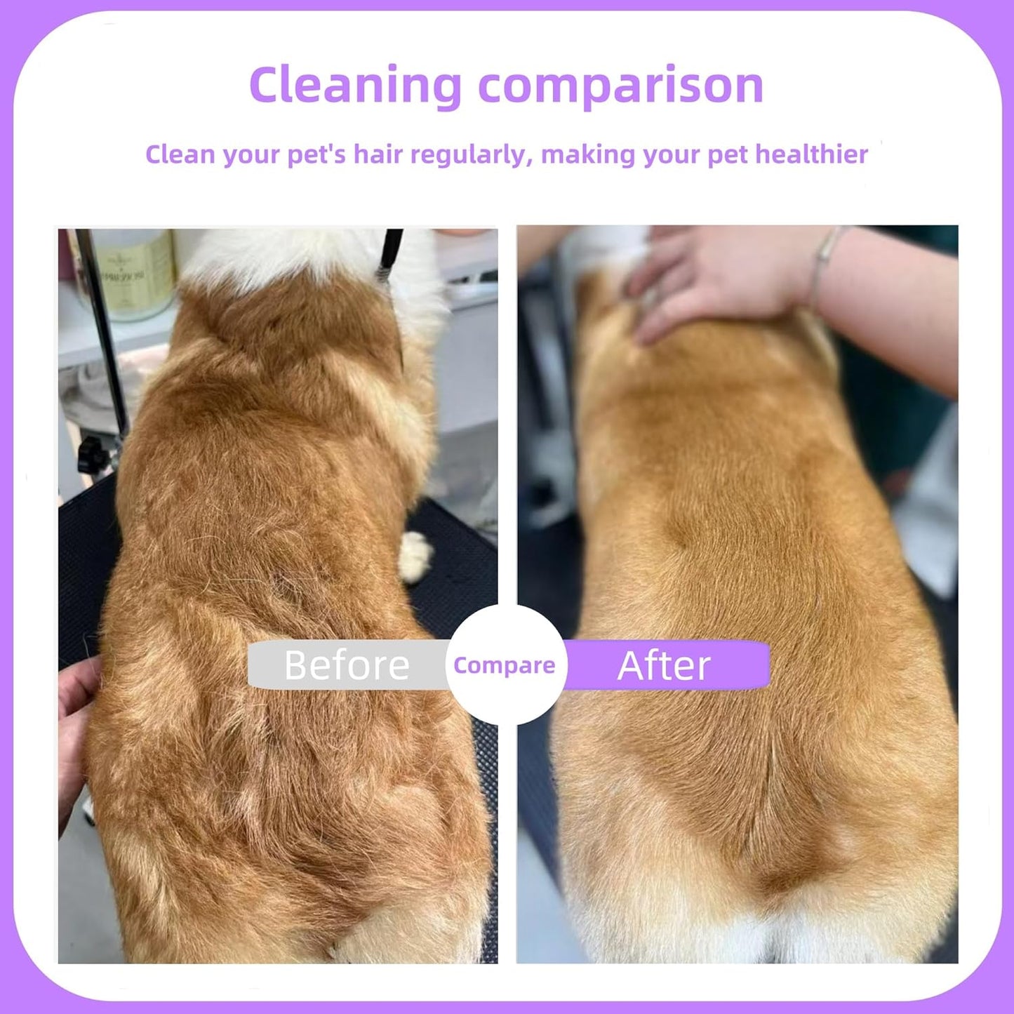 Temapex 3PCS Pet Comb for Grooming Long & Short Haired Cats & Dogs With Stainless Steel Metal Teeth for Removes Tangles & Flea, Non-Slip & Anti-Static Rubber Handle, Safe & Gentle