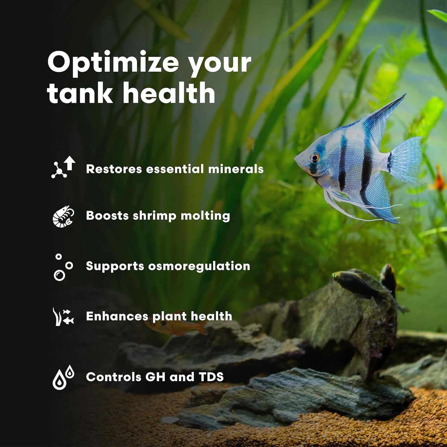 Brightwell Aquatics Caridina GH+ Mineral Supplement Restores Calcium Magnesium Potassium Sodium in Soft RO/DI Water for Shrimp Breeding and Plant Health, 250 ml