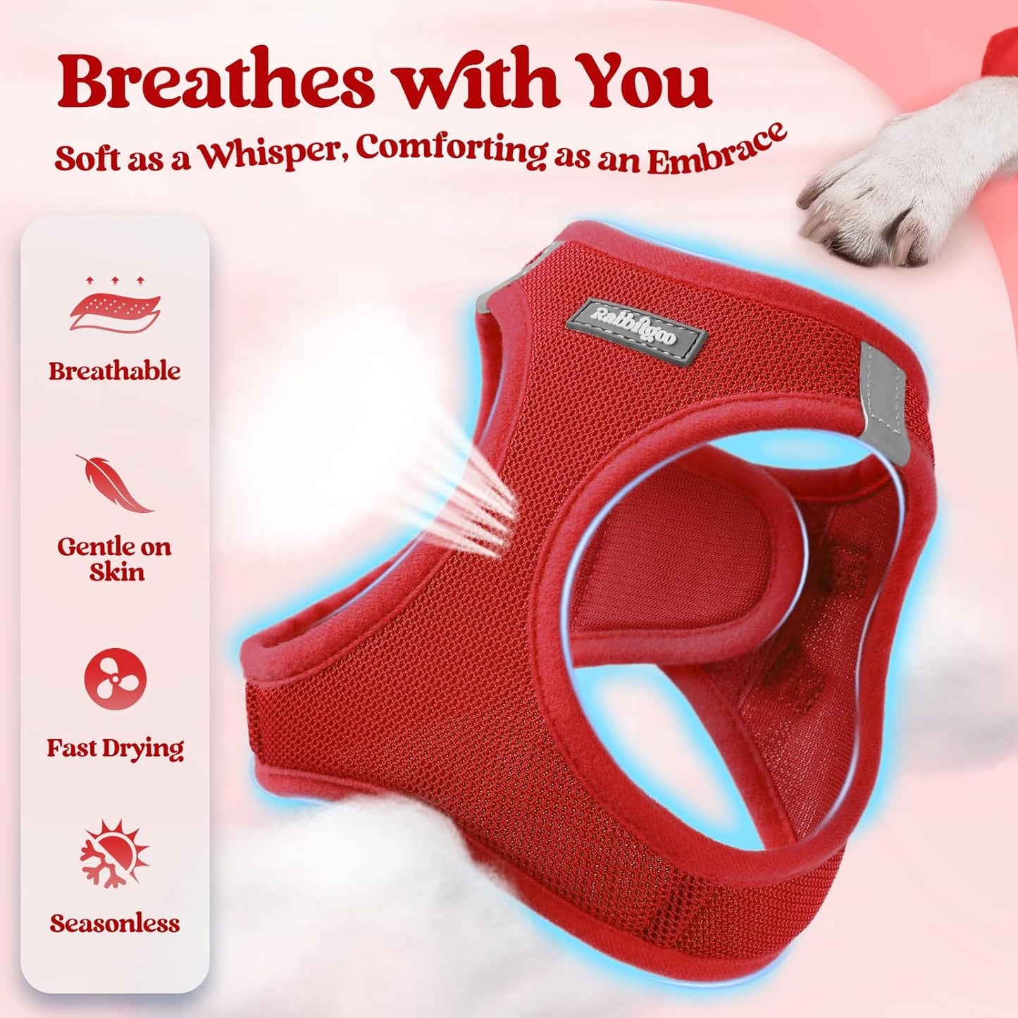 rabbitgoo Dog Harness Small Sized and Leash Set, Step in Soft Light Puppy Vest, Breathable Mesh Pet Harness, Reflective for Safe Easy Walking, Red M