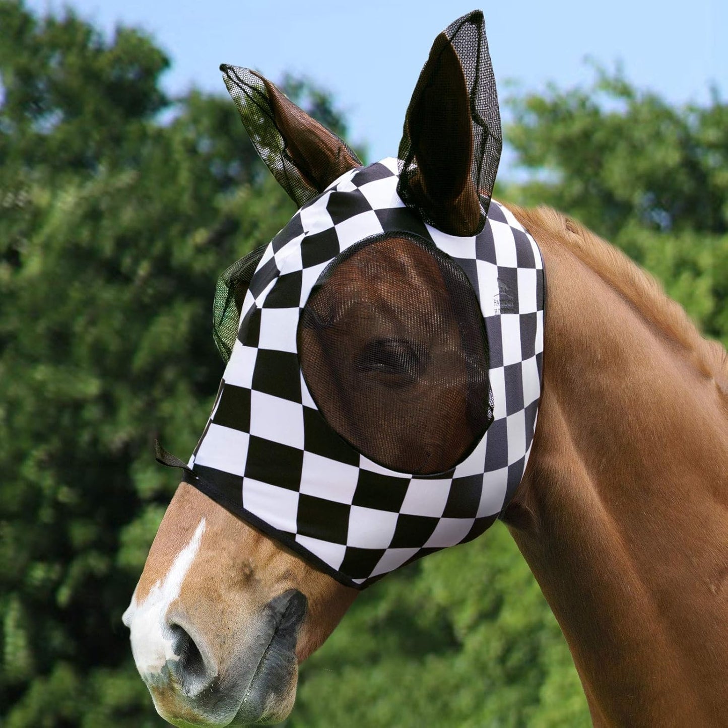 Harrison Howard Super Comfort Stretchy Fly Mask Large Eye Space with UV Protection Soft on Skin with Breathability Checker Board XL