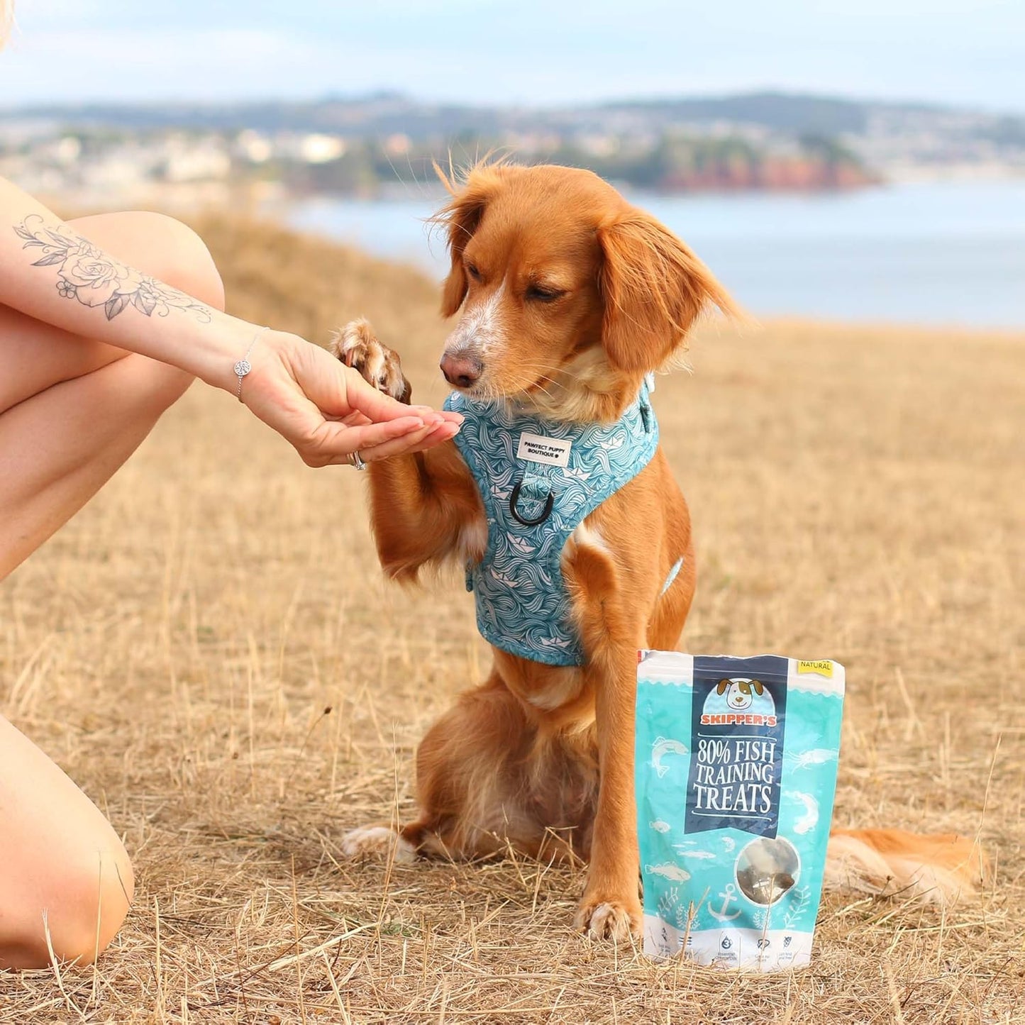 SKIPPER'S Fish Training Treats for Dogs - 80% Steamed Salmon & Trout, Grain Free Puppy Training Treats, All Natural Ingredients No Additives, Good for Digestion, Rich in Omega 3 | 17.5 Oz