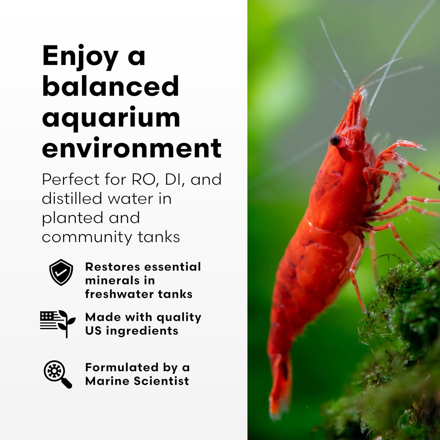 Brightwell Aquatics Remineralīz-P – Restores GH & TDS for Freshwater Aquariums, Replenishes Essential Minerals for RO & Distilled Water, Supports Fish & Plant Health, 20kg