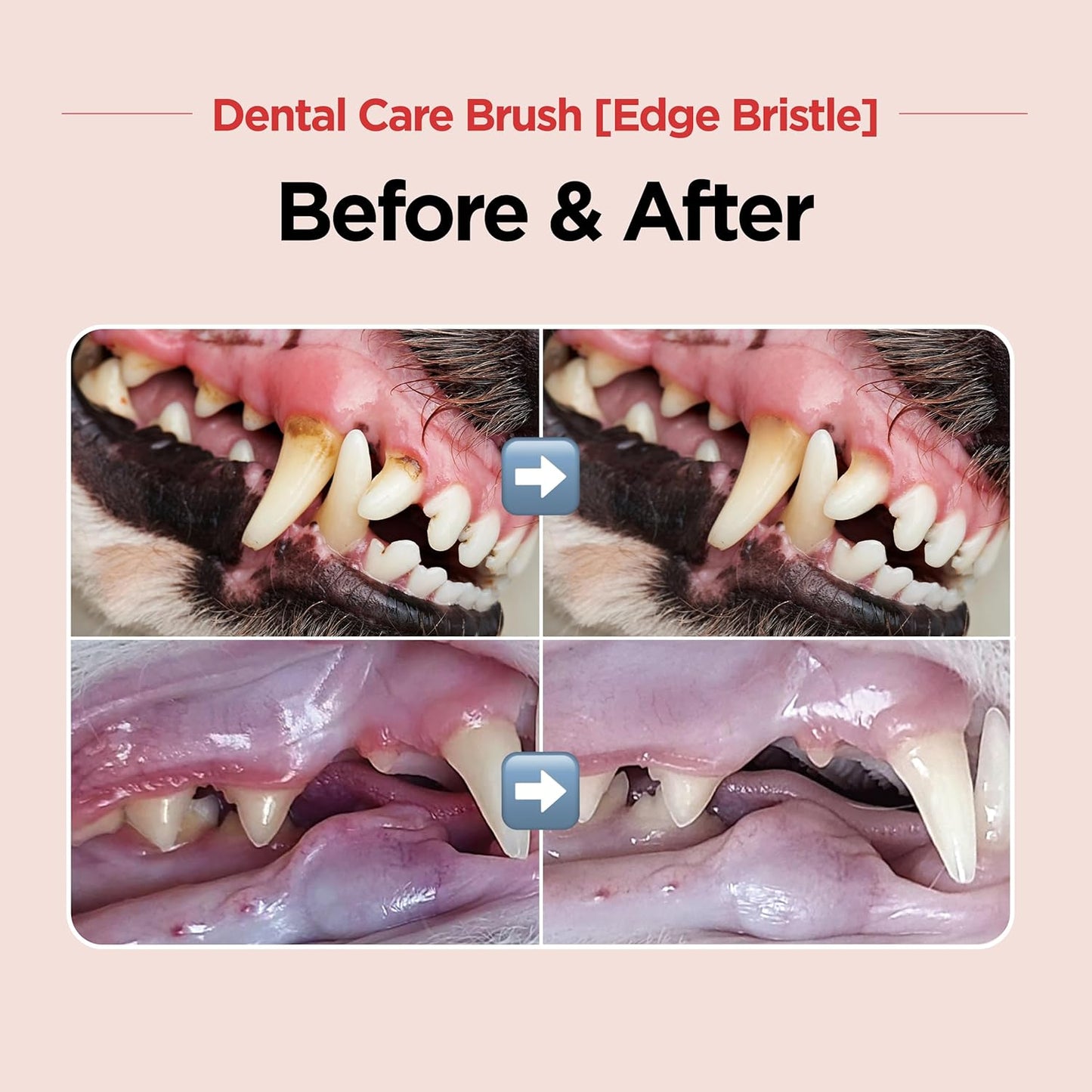 JAYU PET Dental Care Brush (Edge Bristles) 3ea - Micro Round Head Dog Toothbrush, Cat Toothbrush, Dental Care, Perfect for Kitten & Small Breed with End-tuft Diagonal-Shaped Bristle & Easy Grip Handle