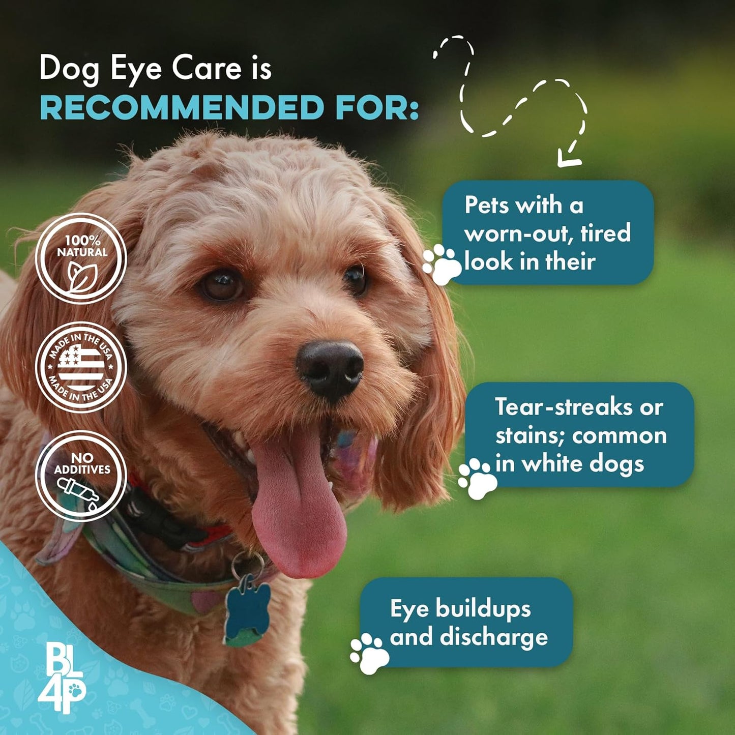 Dog Eye Infection & Eye Care Support Supplements, Natural Relief from Conjunctivitis, Swelling, Tear Stains, Dry Eyes and Discharge, Easy to Use, No More Struggle with Canine Drops, 400 Small Pills