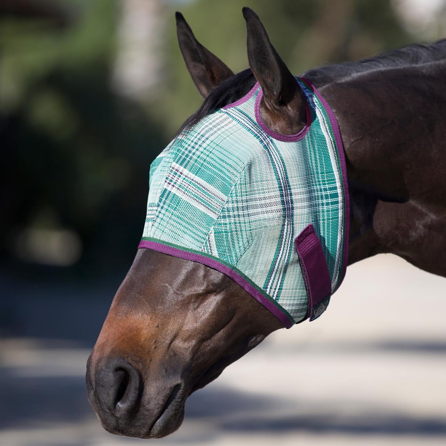 Kensington UV Horse Fly Mask with Web Trim - Protective Mask with Dual Ear Opening & Forelock Freedom - Large, Imperial Jade