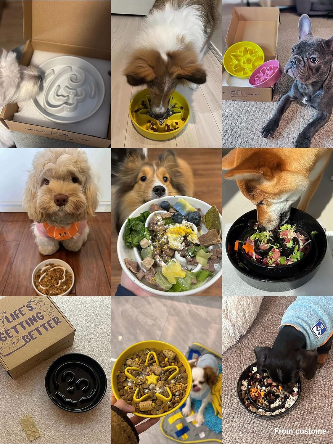 LE TAUCI Ceramic Slow Feeder Dog Bowls Small Breed, 0.6 Cups Dog Food Dish for Fast Eaters, Puzzle Bowl for Small Dogs and Cats,Skull Black