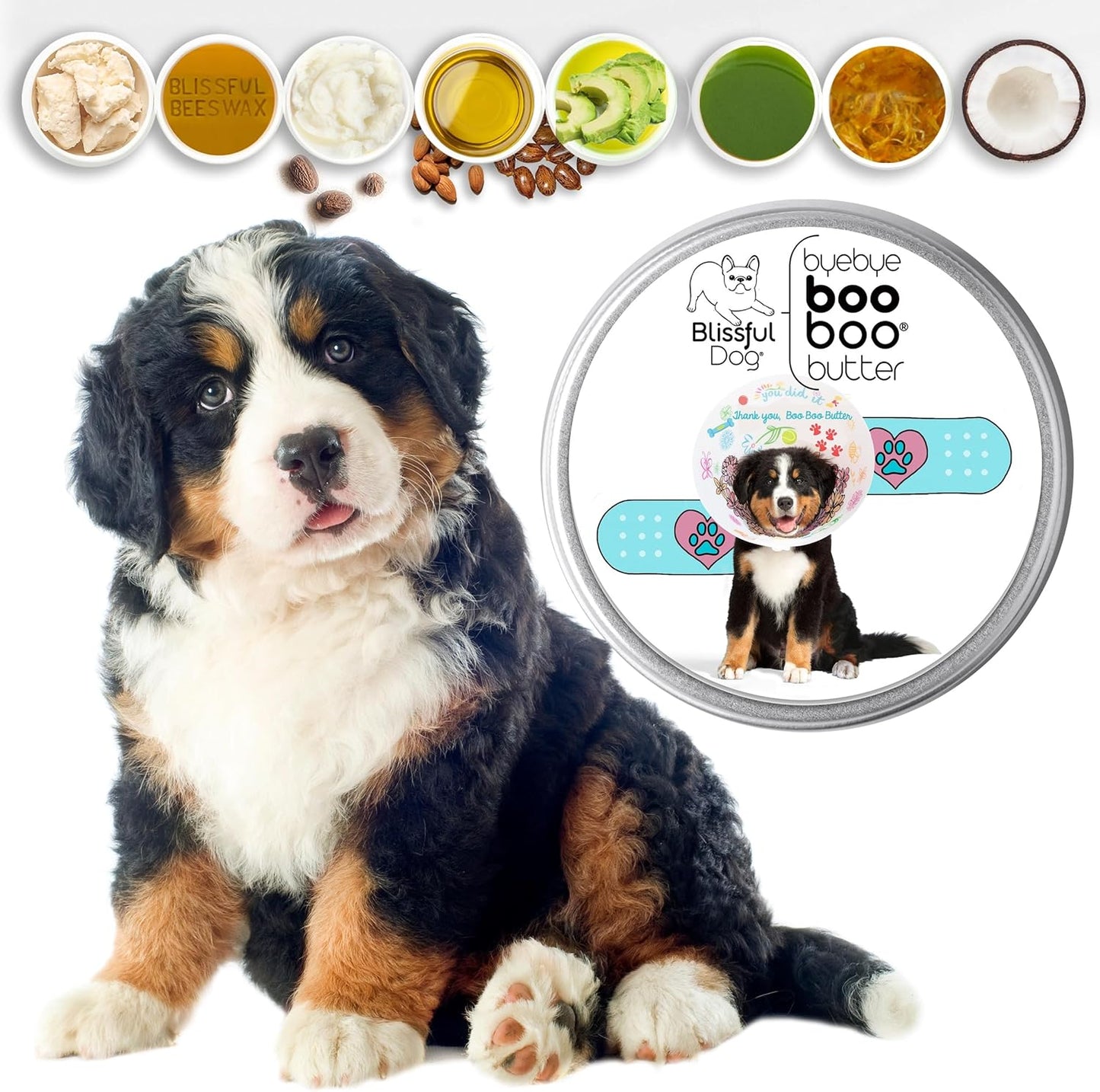 The Blissful Dog 4 oz TIN Bernese Mountain Dog Booboo Butter