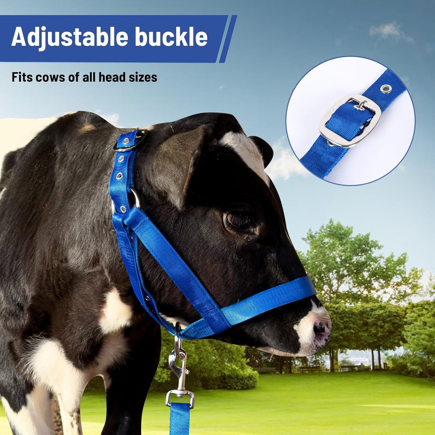 XUANNIAO Easily Adjustable Figure 8 Cow Halter, Double-Ply Premium Livestock Cattle Halters, Colorful Cow Utility Calf Halter with Leading Rope for Miniature Horse Donkey Goat Foal (Medium, Blue)