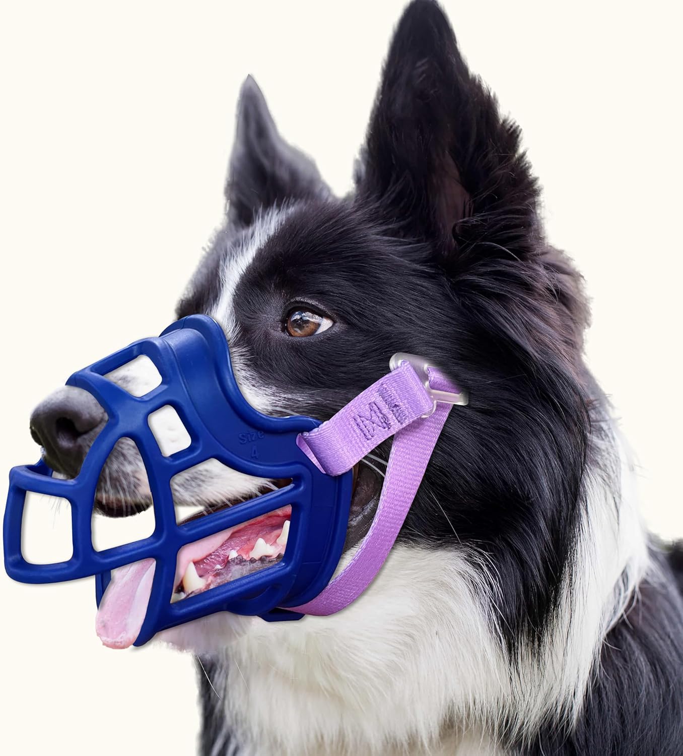 Dog Muzzle, OKKIC Basket Muzzle Anti Biting Chewing, Sturdy Lightweight Muzzle Allows Panting Drinking,Muzzle for Small Medium Large Dogs, Suitable for Grooming Trimming Training (Blue, Size3)