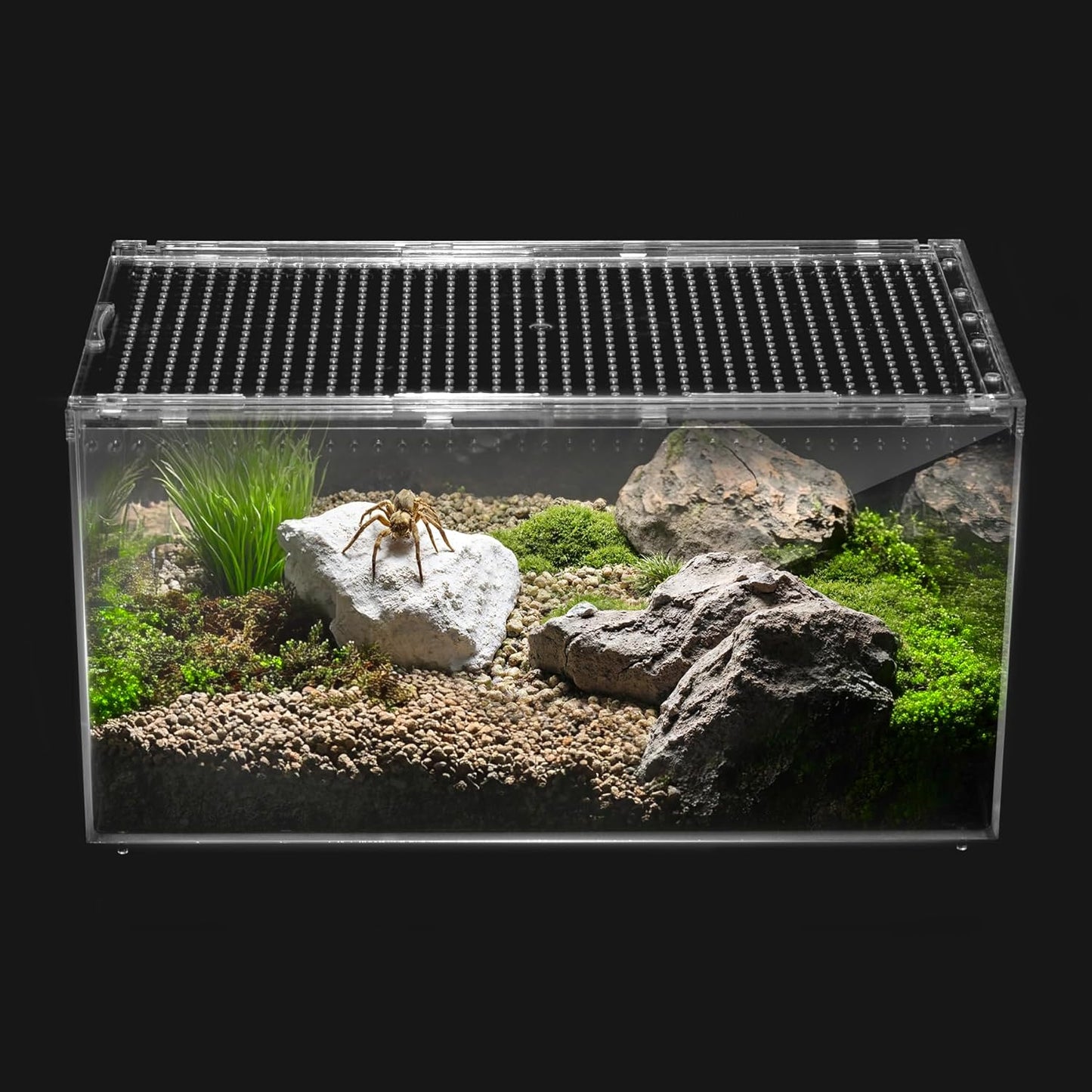 Reptile PC Terrarium,Spider Tank Starter Kit,Leopard Gecko Container,Tarantula Cage,Hermit Crab Habitat,Lizard Enclosure,Insect Housing,Jumping Spider Enclosure,Small Bearded Dragon Vivarium