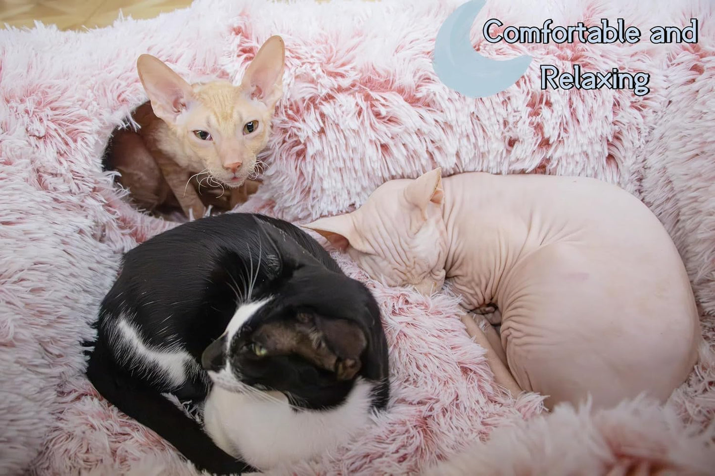 XxingSheep 4 Cave Shuttled XL Cat Tunnel Bed for Indoor Cats Peekaboo Toy Donut with Warm Mat, Pinkish White