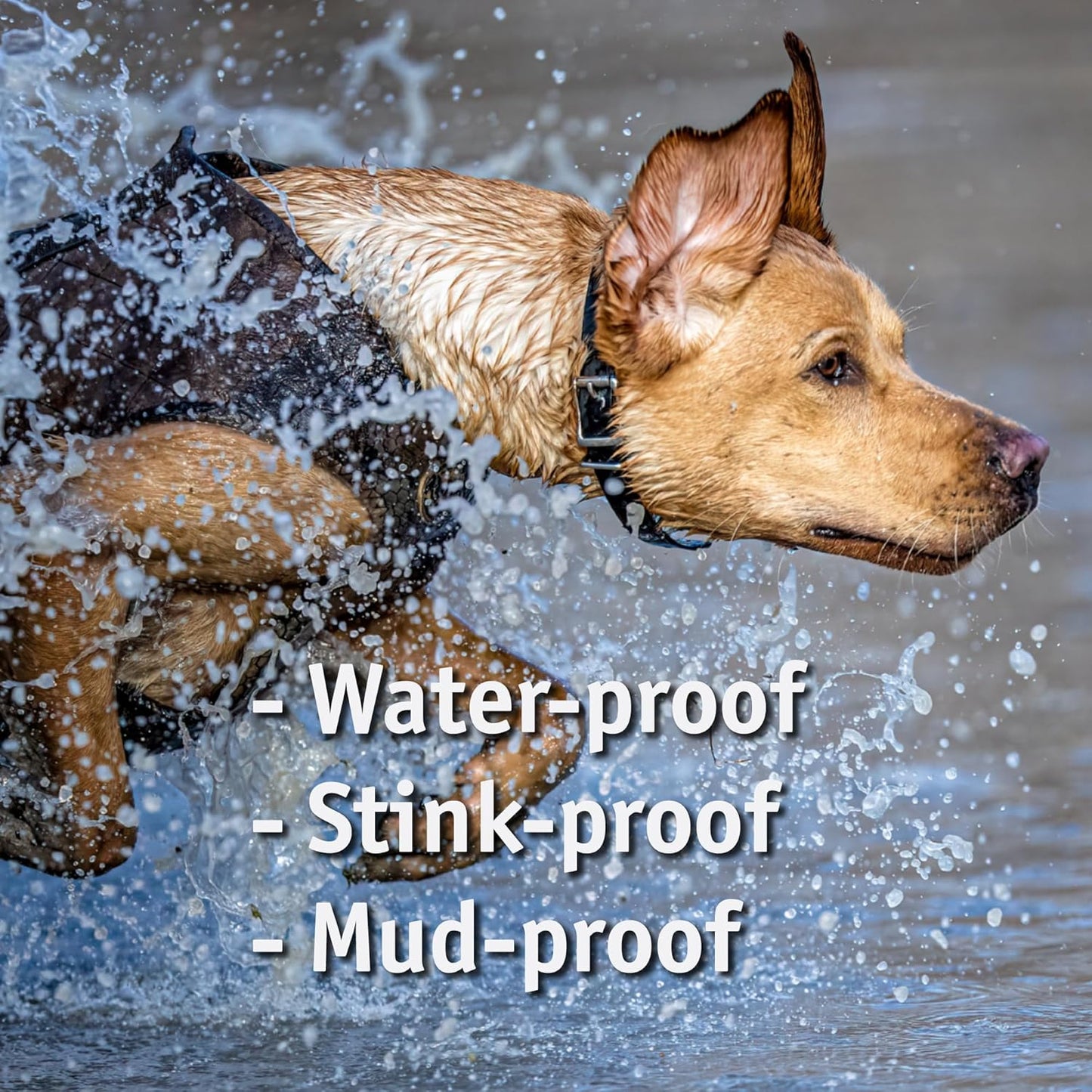 Biothane Custom Dog Collar – Waterproof, Stink-Proof Personalized Collar with Name & Phone Number – Durable, Many Sizes and Colors – Assembled in USA (Olive Green)