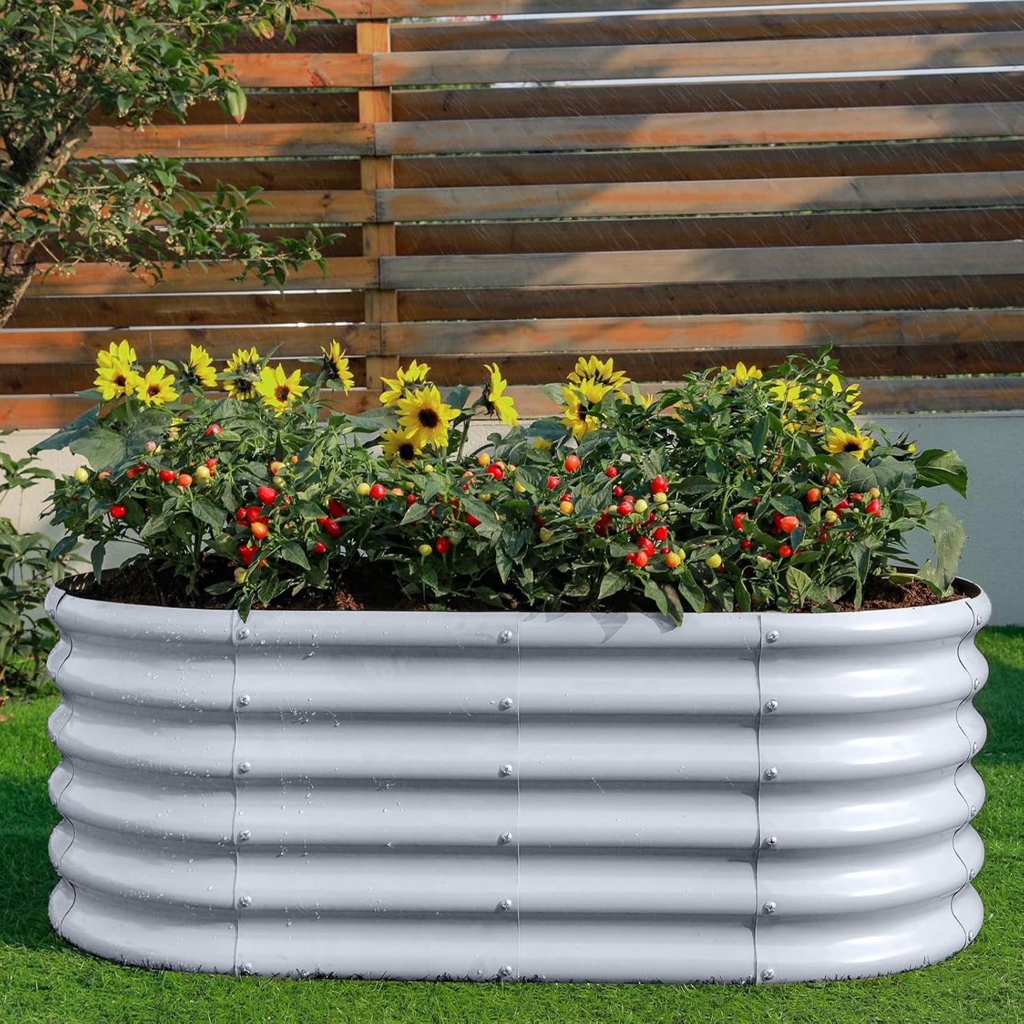 Land Guard 18“ Tall 4×2ft Galvanized Raised Garden Bed Kit, Galvanized Planter Garden Boxes Outdoor, Oval Large Metal Raised Garden Bed for Vegetables……… (Modern Gray, 4×2×1.5ft)