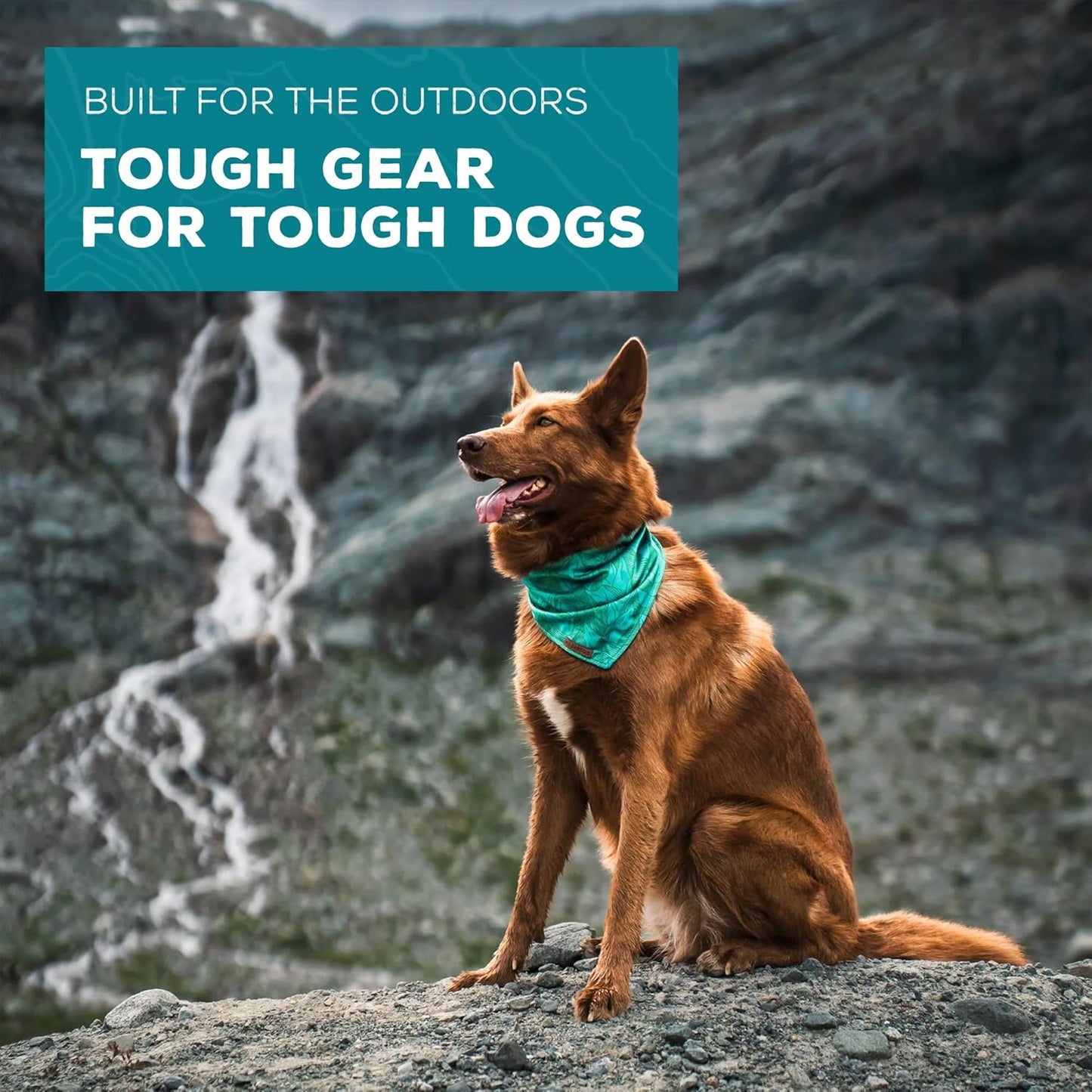 Wilderdog Dog Bandana with Lightweight Quick Drying Poly-Blend Mesh Material in Juniper