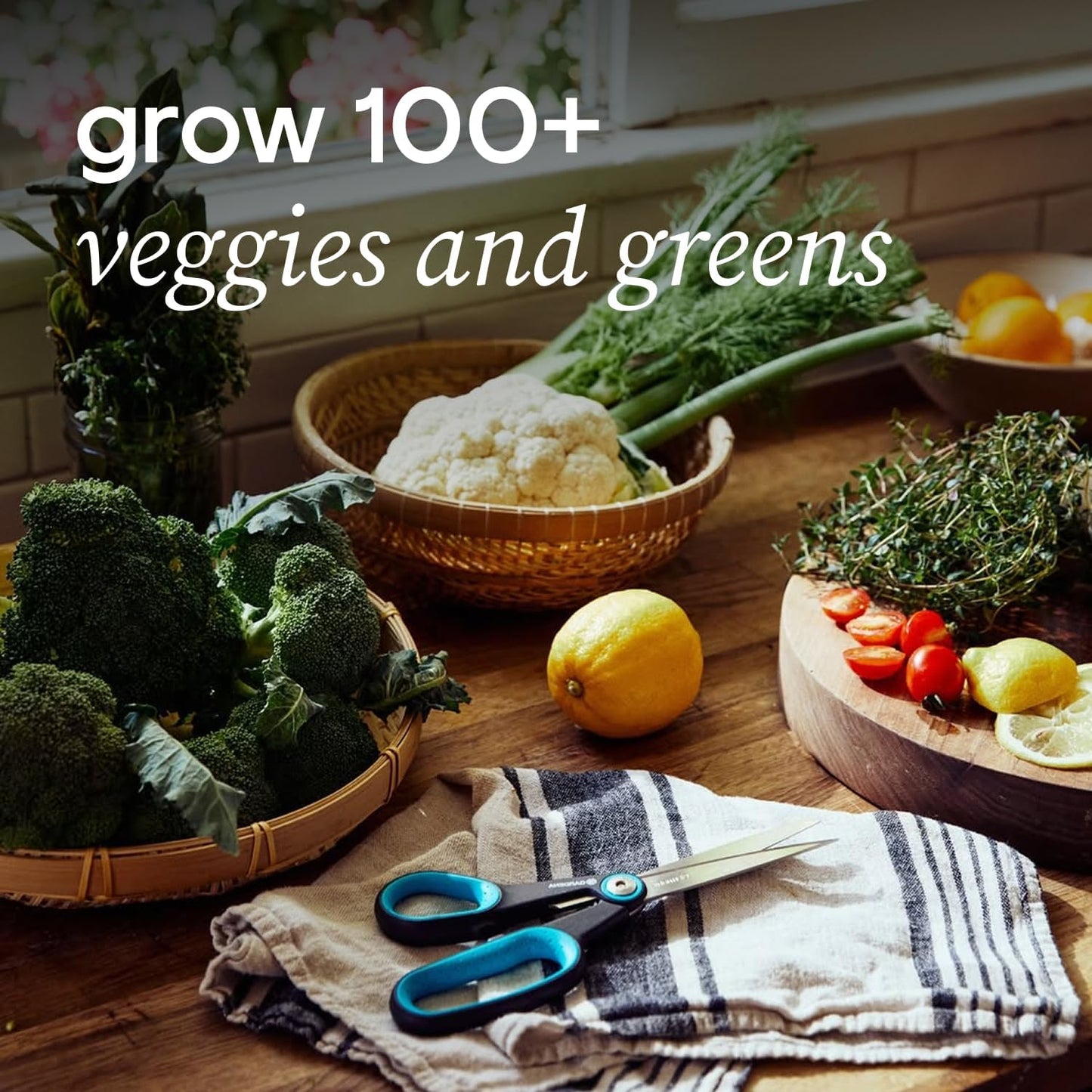 Farmstand Starter Kit + 36 Seedling Credits | Large Hydroponic Growing System Kit | Self-Watering Outdoor Vertical Garden Planter Tower | 6ft 1in | Made in USA