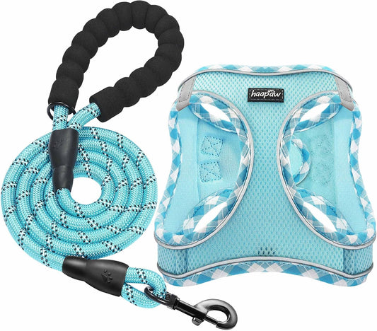 haapaw Dog Harness with Leash Set, No Pull Adjustable Reflective Step-in Puppy Harness with Thickened Padded Vest for Extra-Small/Small Medium Dogs