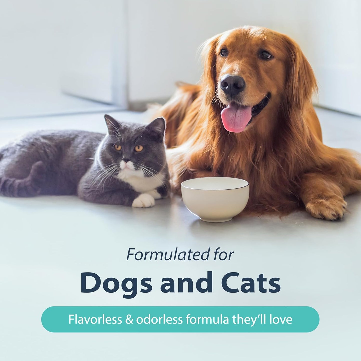 Dental Fresh Water Additive for Dogs, Original Formula, 64oz – Dog Breath Freshener and Dog Teeth Cleaning for Dog Dental Care– Add to Water