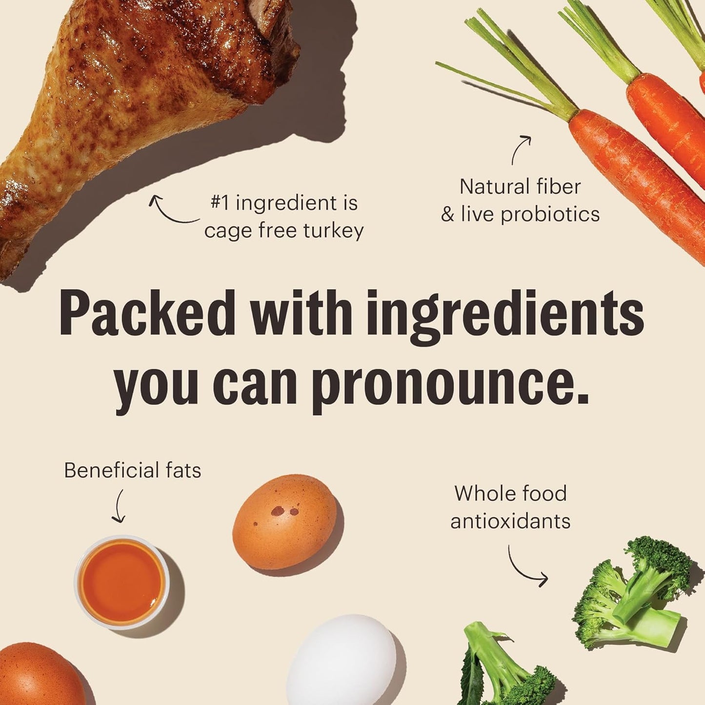 The Honest Kitchen Whole Food Clusters Grain Free Turkey Dry Dog Food, 1 lb Trial Pouch