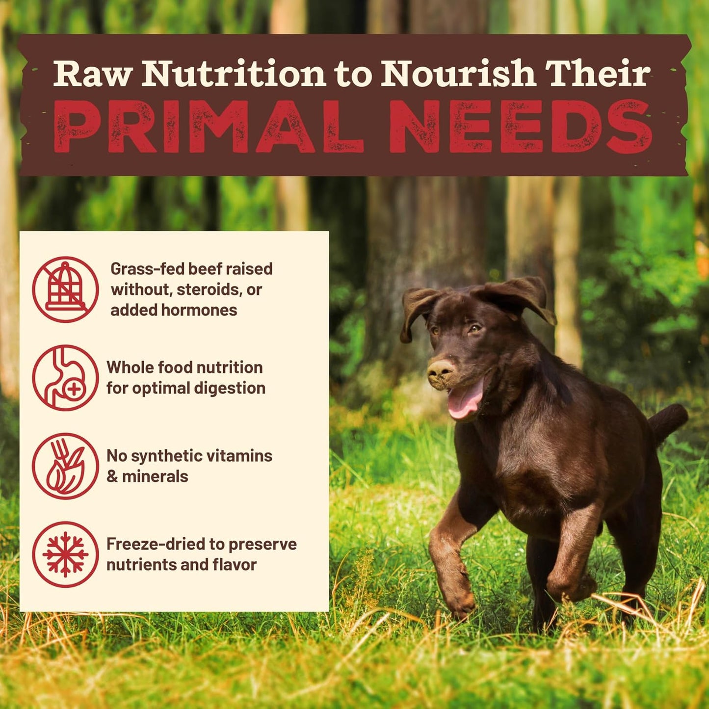Primal Kibble in The Raw, Freeze Dried Dog Food, Beef, Scoop & Serve, Made with Raw Protein, Whole Ingredient Nutrition, Crafted in The USA, Dry Dog Food 5.4 lb Bag