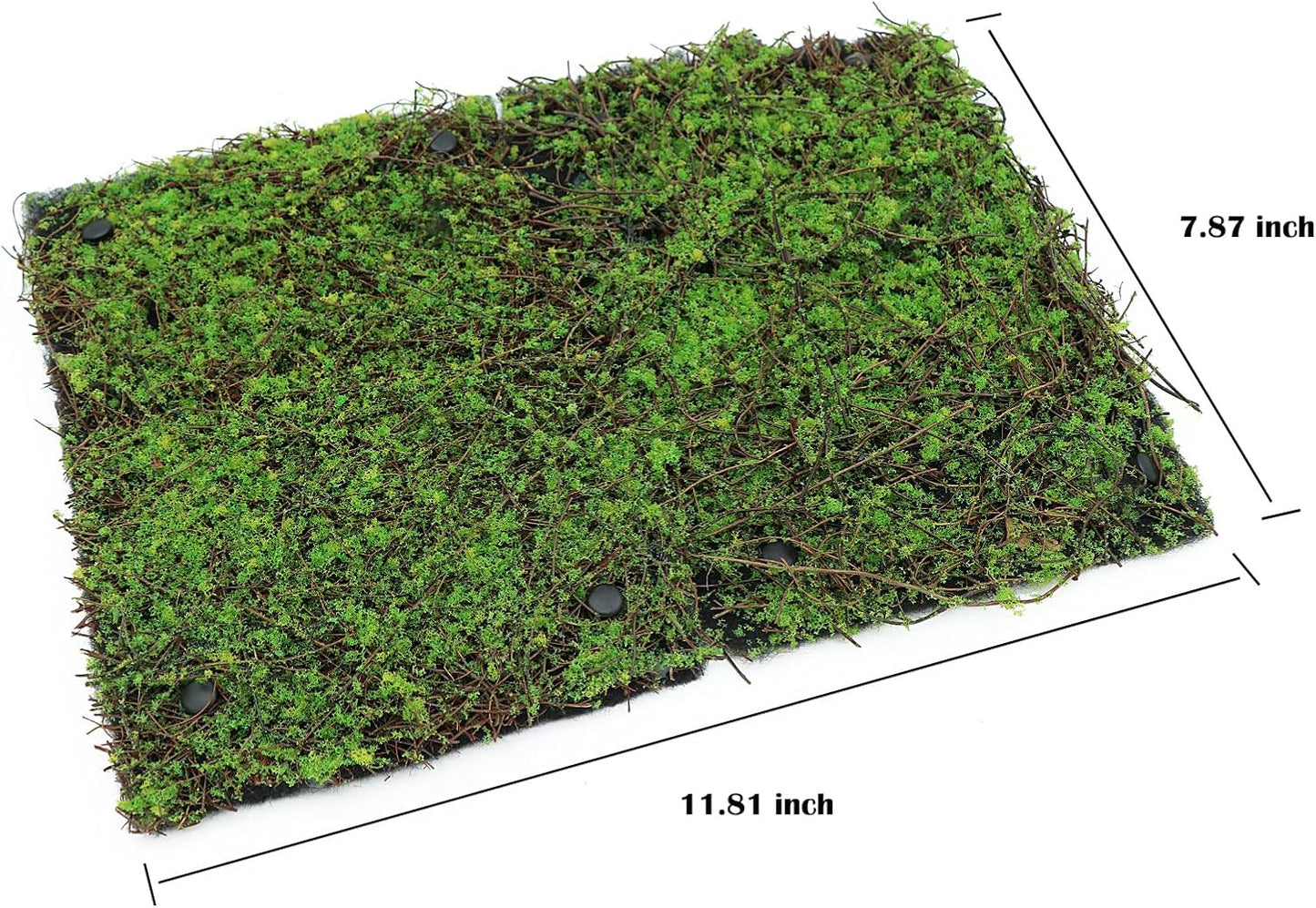 AQUA KT Terrarium Moss Background Backdrop Wall Artificial Reptile Amphibian Cage Decoration for Lizard Bearded Dragon Snake Frog Chameleon Climbing, Pack of 2