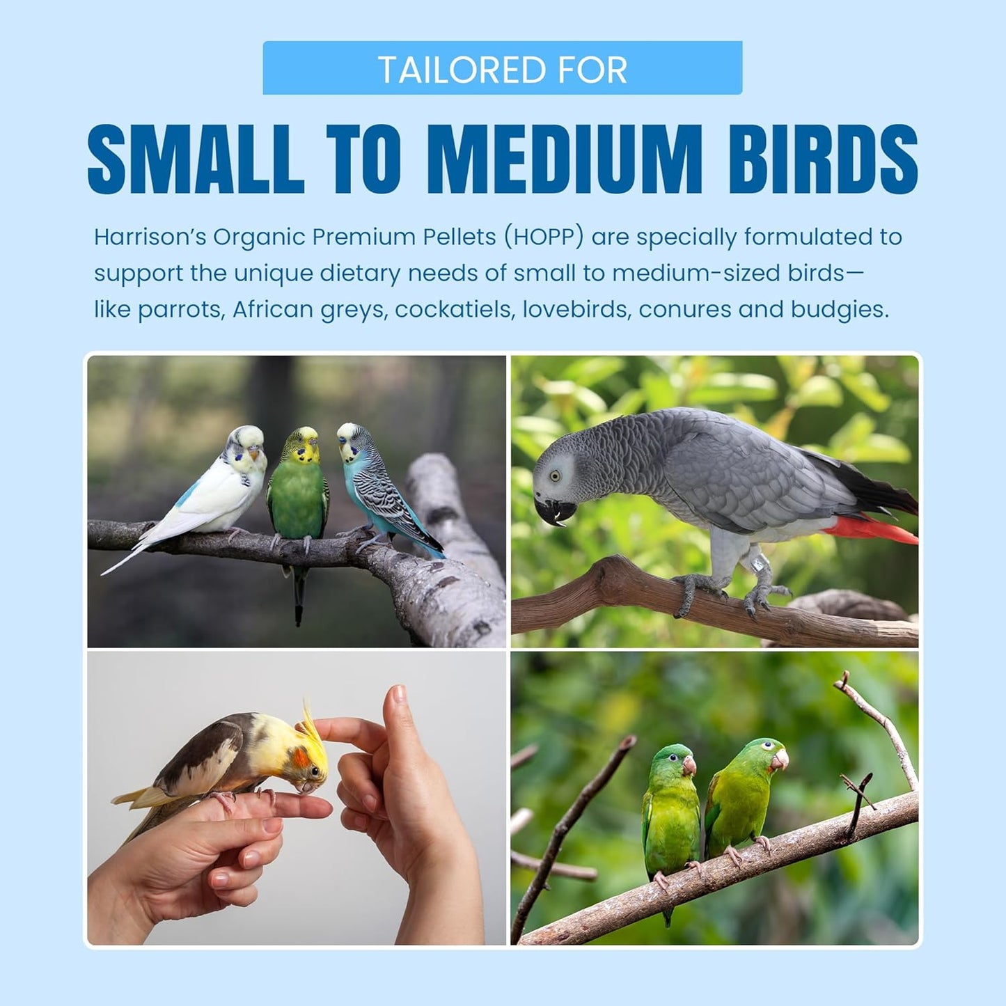 Harrison's Bird Foods HOPP Premium Pellets – Organic, Nutritionally Balanced Food for Small to Medium Pet Birds, Cold-Pressed, Low Fat, Vet-Developed, 5LB