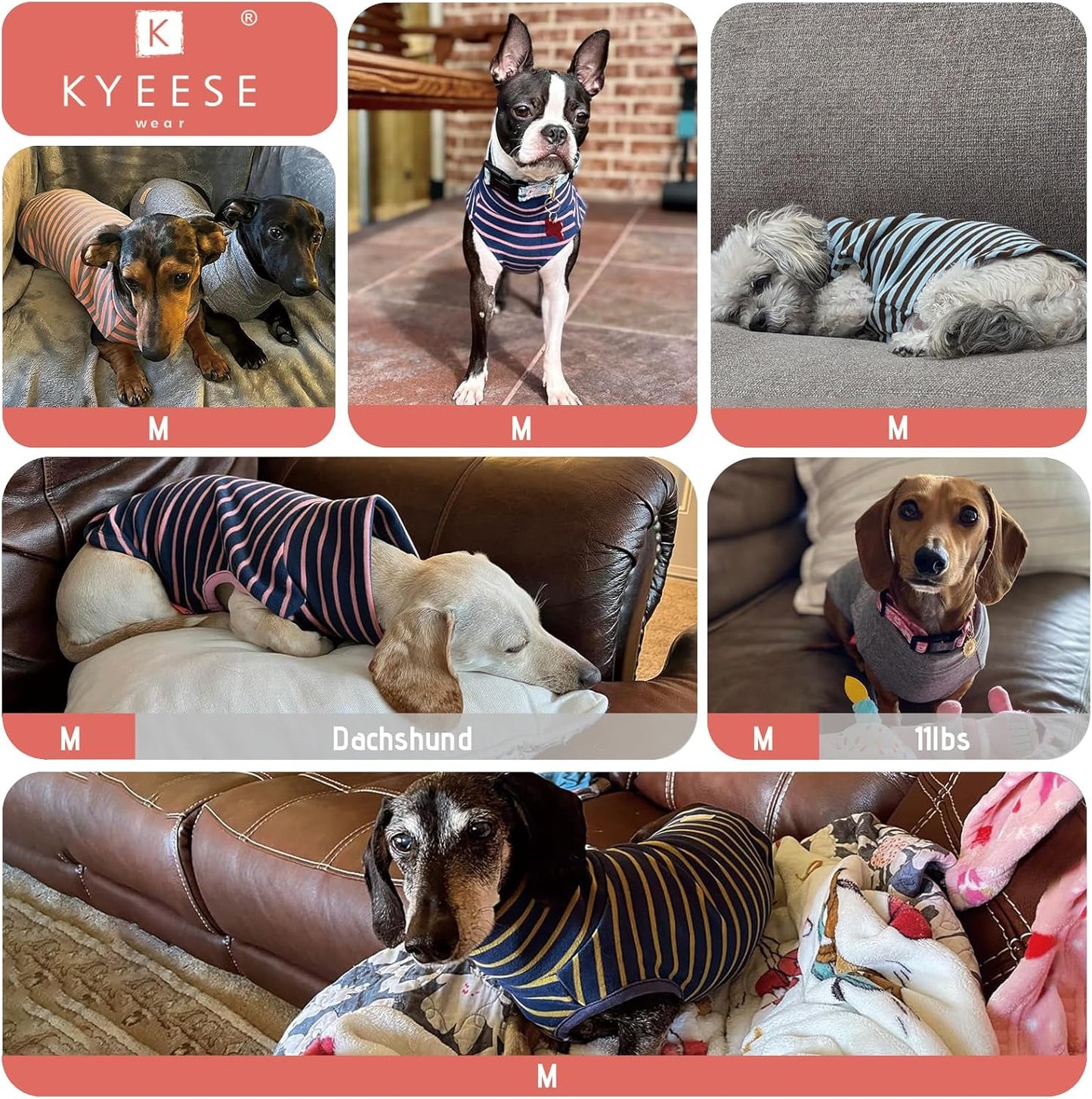 KYEESE 2Pack Dog Sweater Turtleneck Small Pets Sweaters Warm Pet Coats Soft Dachshund Clothes Pullover Pets Sweatshirt Dog Sweaters for Small Dogs Male Stretchy Dogs Clothes