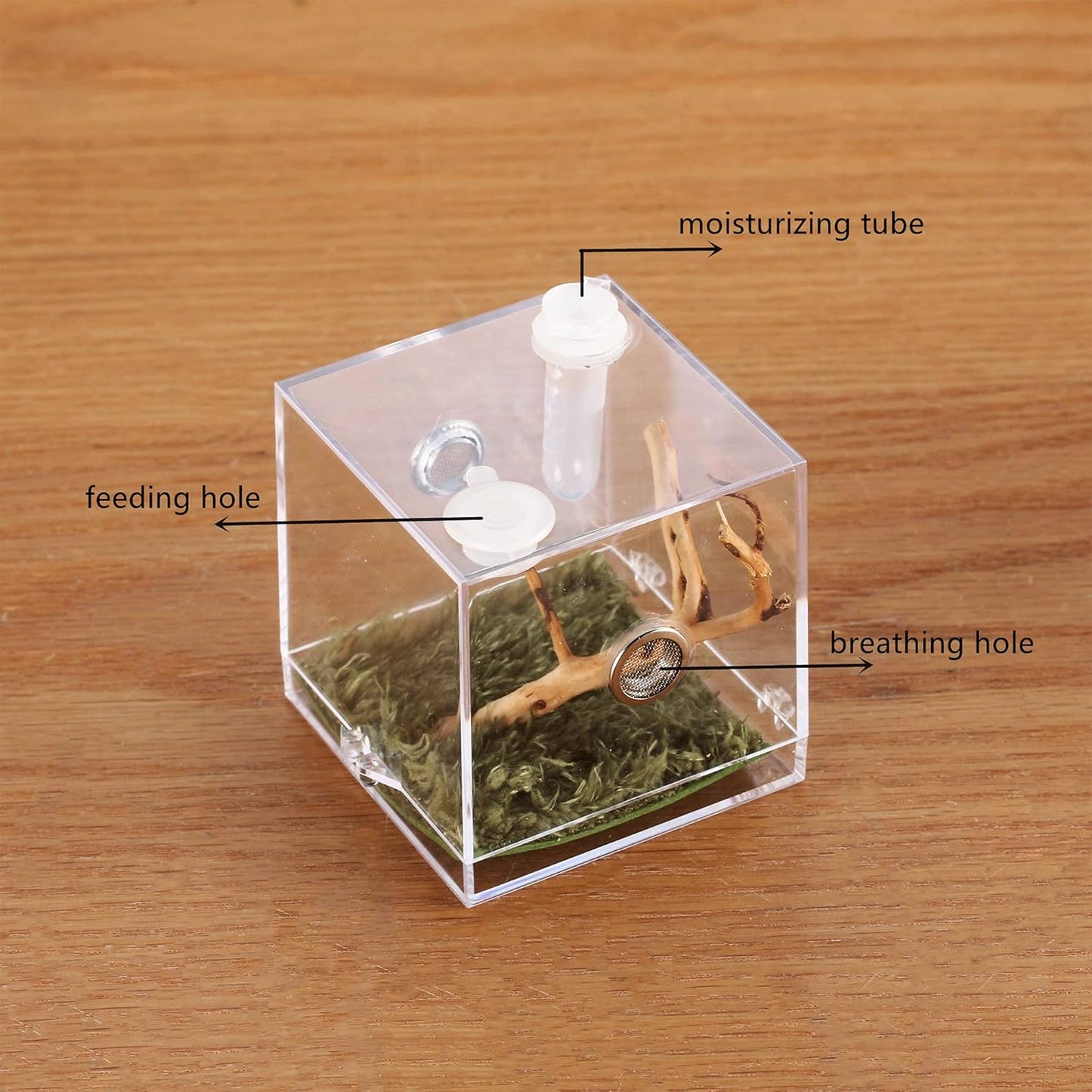 crapelles Jumping Spider Micro Big Habitat, Small Pet Insect Breeding Box, 360 Degree High Transparent Reptile Cage, Acrylic Case Mini Carrier for Amphibians, Feeding Container Enclosure Accessories