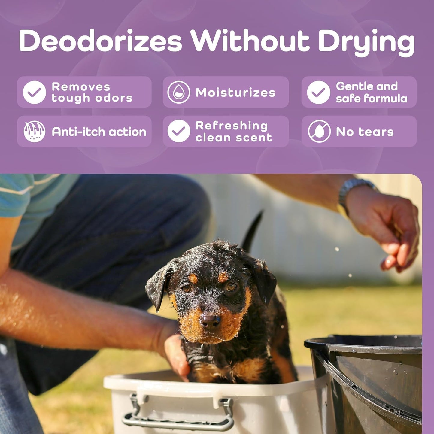 Sensitive Care -Tangle-Free-Silky Shine Softening and detangling Shampoo, Delicate Coat Clean & Odor Control Shampoo – Advanced Shine Formula for Dogs (Rottweilers, 16 Fluid Ounces)