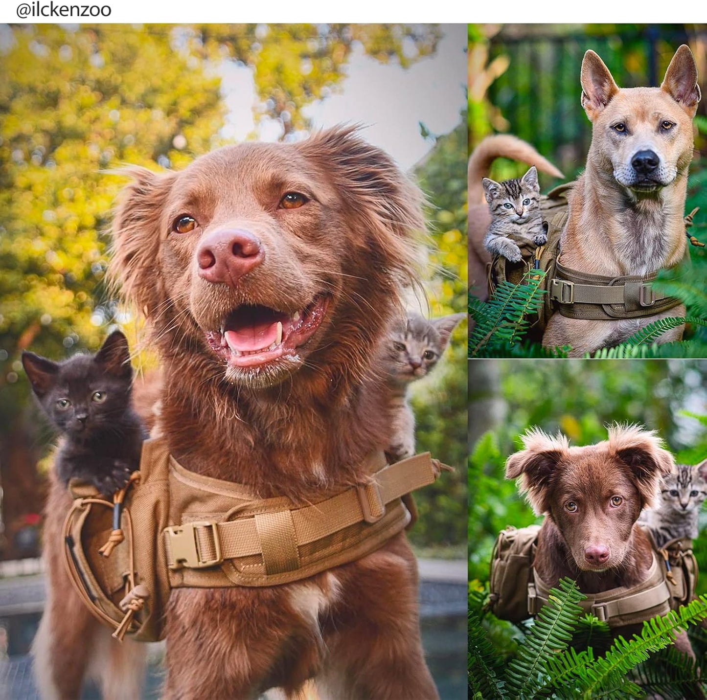 OneTigris Dog Backpack for Medium & Large Dogs, Nylon Backpack for Dogs Tactical Pet Backpack with Side Pockets for Hiking Walking Training Running (Brown, Large)