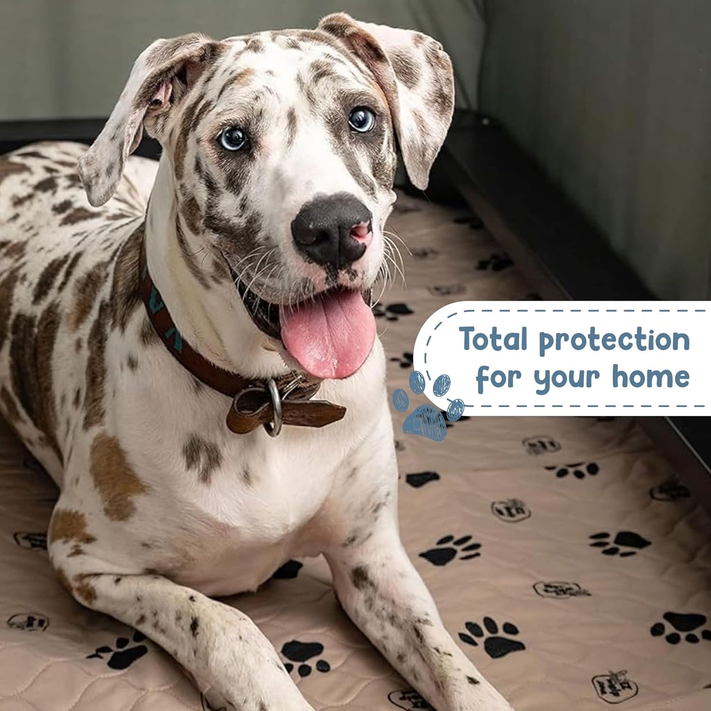 EZwhelp Reusable Dog Pee Pads, Washable Waterproof Mats for Potty Training or Whelping Pads, Puppy Pad with Rounded Corners, 24x36 Inch, 2 Pack