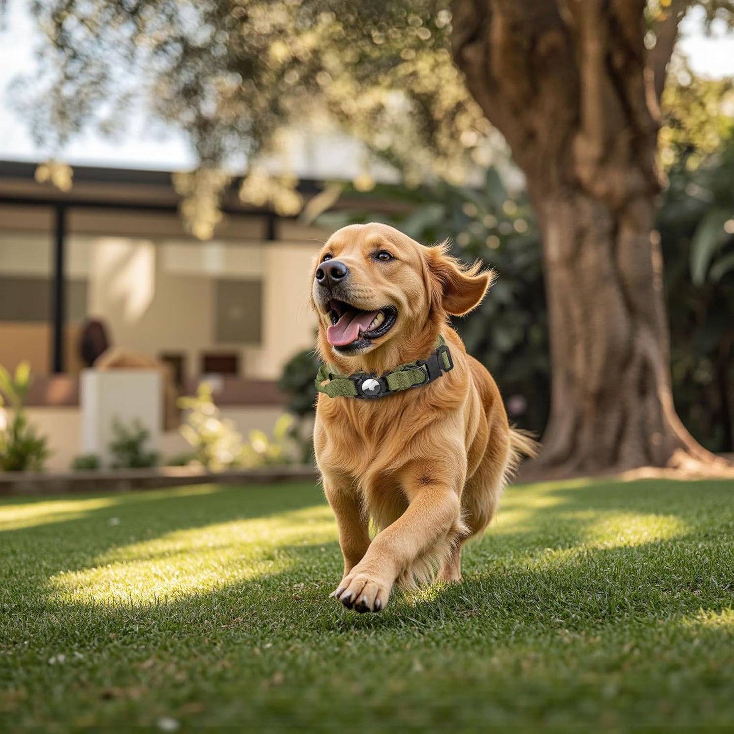 Tactical AirTag Dog Collar Leash Set - Heavy Duty, Adjustable GPS Collar Compatible with Apple AirTag, with Holder & Control Handle for Medium/Large Dogs [ Green, L ]
