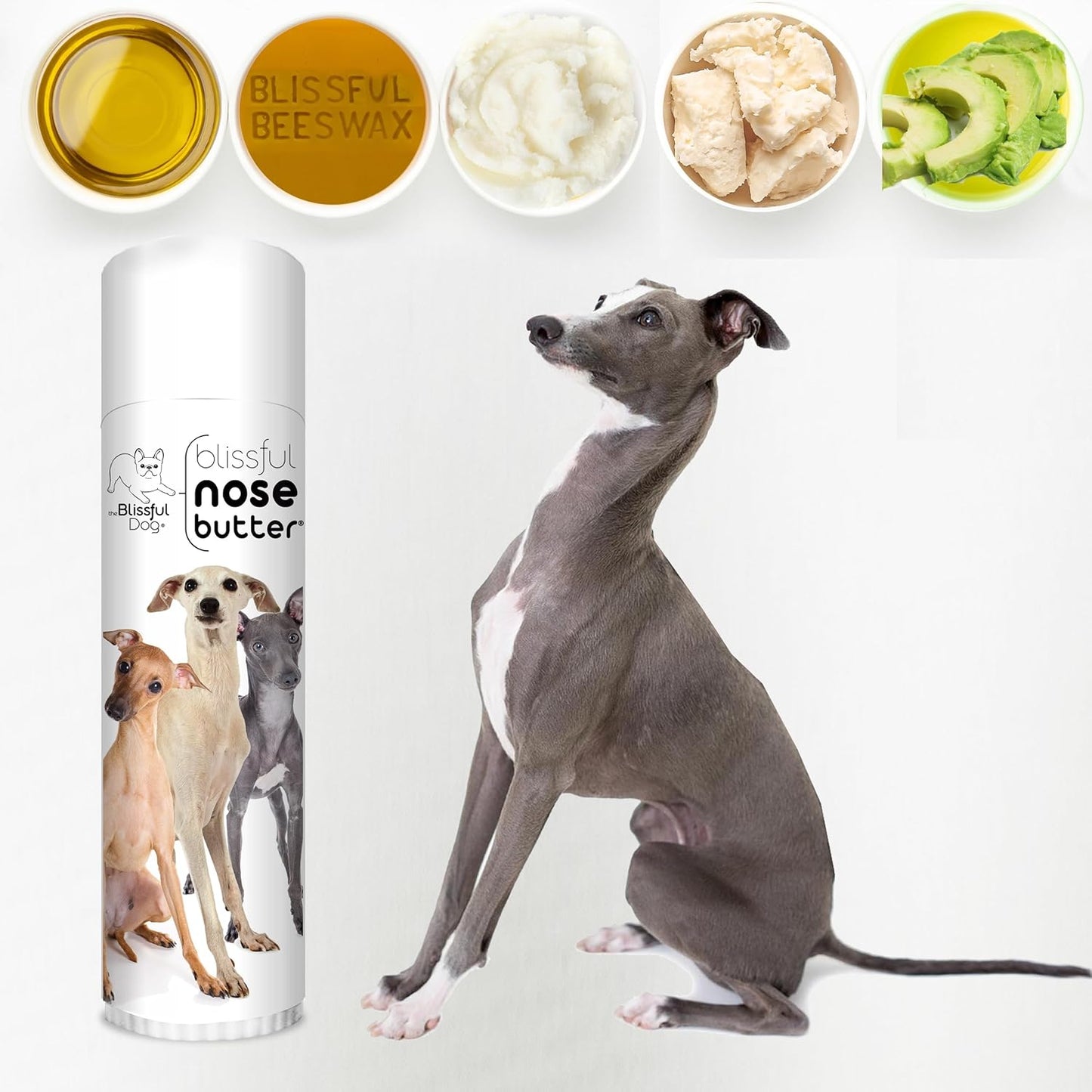 The Blissful Dog Italian Greyhound Unscented Nose Butter - Dog Nose Butter, 0.50 Ounce