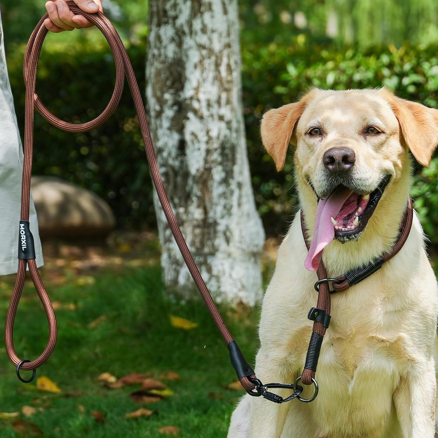 Rope Dog Leash, 4 ft Heavy Duty Dog Leash with Aviation Aluminum Auto Locking Carabiner, Strong Nylon Pet Lead for Small, Medium, Large Dogs (Green, 4FT)