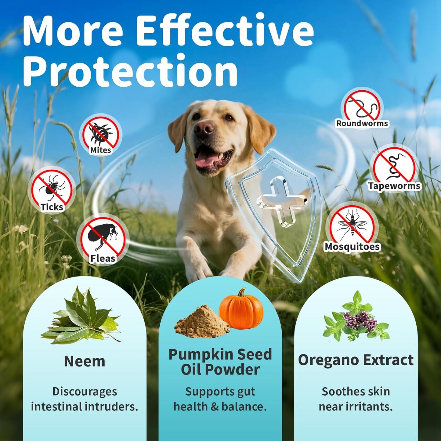 Flea & Tick Drops for Dogs – Natural Prevention with Neem, Oregano & Pumpkin Seed Oil – Liquid Supplement, Beef Flavor, 2 FL Oz, Long-Lasting Protection for All Breeds & Sizes
