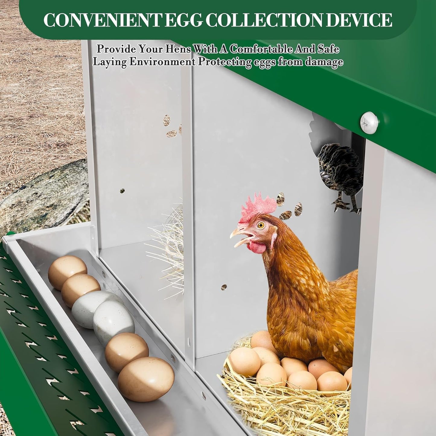 10 Hole Chicken Nesting Box with Roll Out Egg Tray, Rustproof & Ventilated Chicken Laying Boxes for Hens, Chickens, Ducks | Easy-Clean Poultry Coop Accessories, Green with Stand