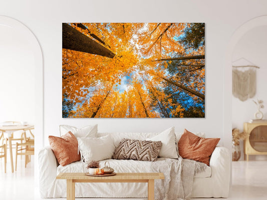 Nature Wall Art Prints - Ocean Forest Mountain Lake Canvas Landscapes - Small to Extra Large Living Room Bedroom Kitchen Bathroom Décor (Blue Sky Through Yellow Autumn Trees, 16L" x 24W")