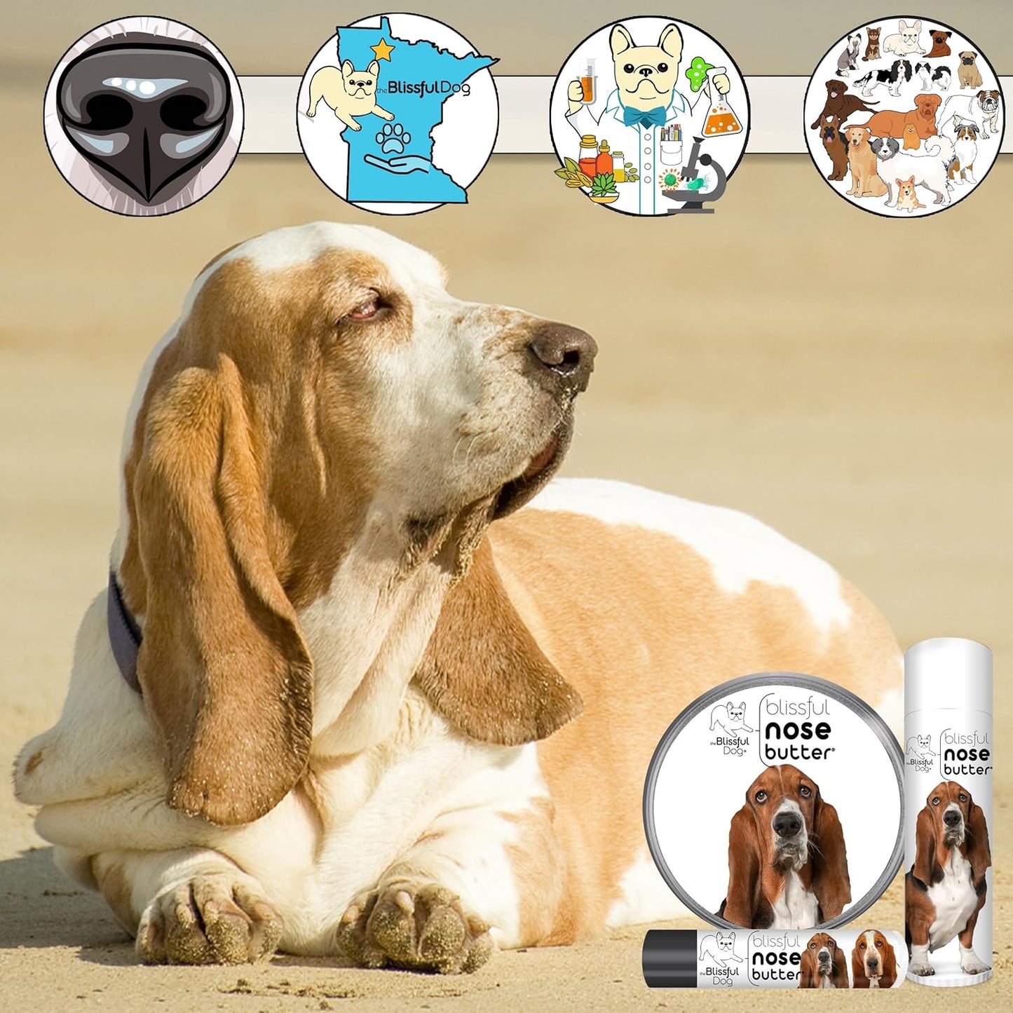 The Blissful Dog Basset Hound Nose Butter for Dry, Cracked Skin, Lick-Safe Dog Nose Balm with Moisturizing Shea Butter, Almond, Olive, and Essential Oils, Pet Supplies, Uncented, 2 oz.