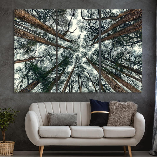 Nature Wall Art Prints - Ocean Forest Mountain Lake Canvas Landscapes - Small to Extra Large Living Room Bedroom Kitchen Bathroom Décor (Trees and Sky, 35L" x 53W" - 3 Panels)