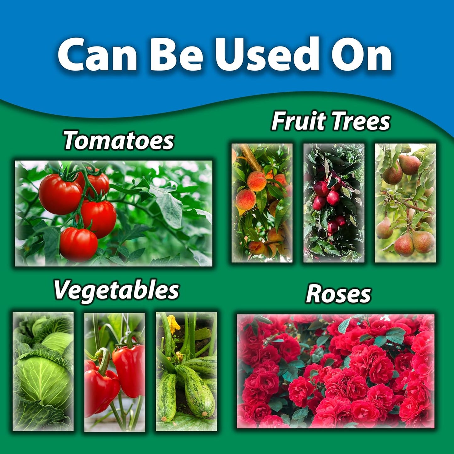 Monterey Bug Buster-O 16oz