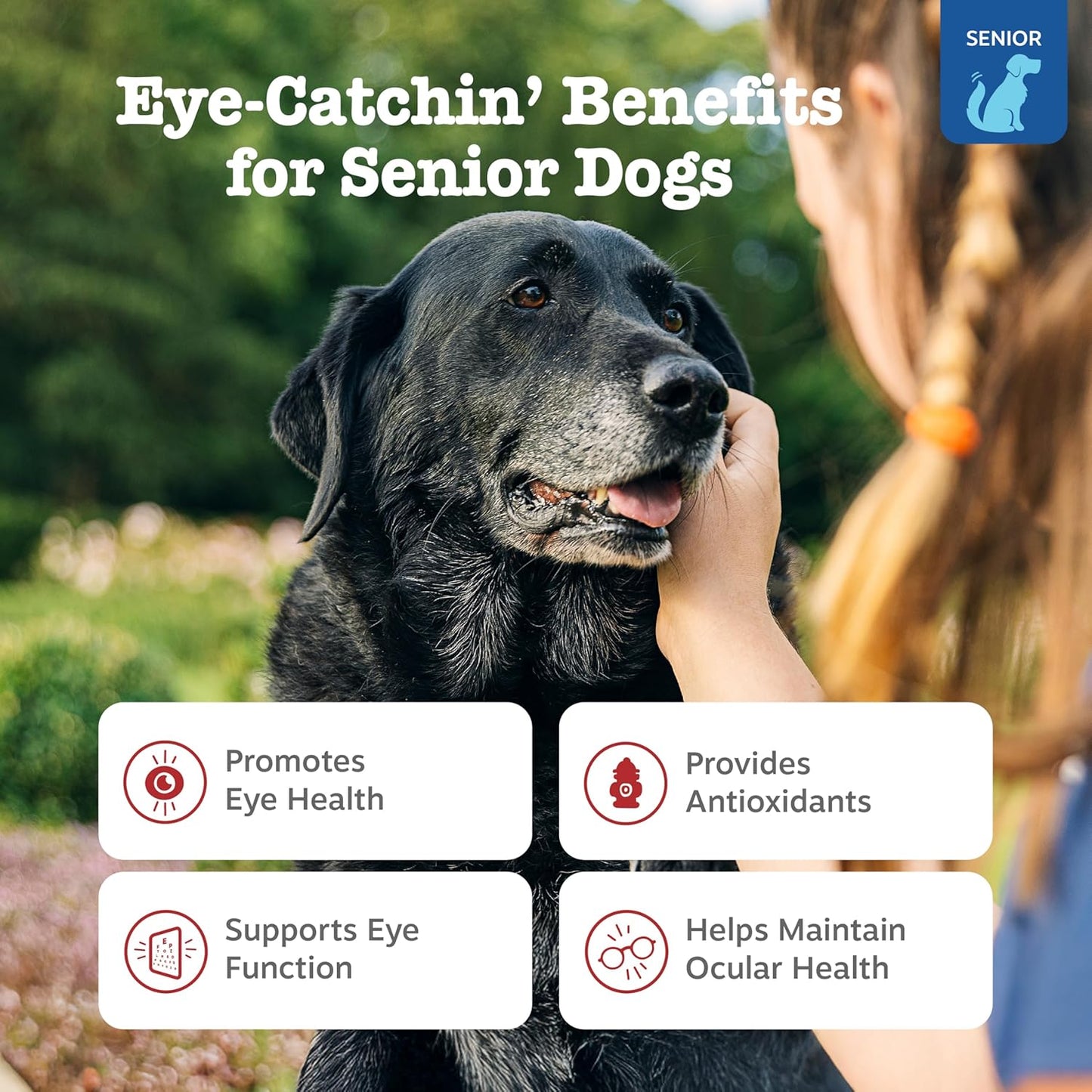 Zesty Paws Eye Supplement for Dogs - Vision Support with Antioxidants & Omega 3 Fatty Acids - 90 Chews