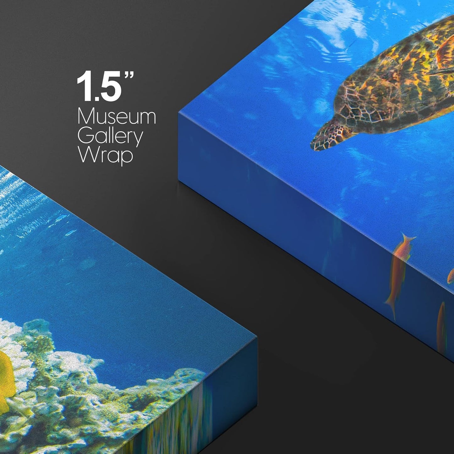 wall26 Canvas Print Wall Art Vibrant Neon Underwater Turtle, Reef & Fish Nature Animals Photography Realism Rustic Scenic Landscape Wilderness Colorful for Living Room, Bedroom, Office - 24"x36"