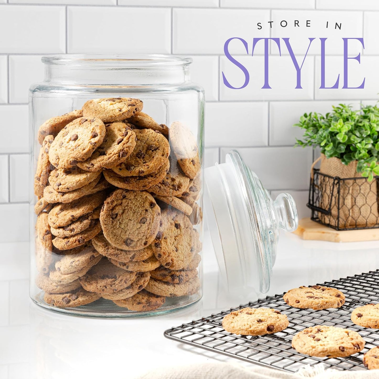 2-Gallon Tall Glass Cookie Jar with Airtight Lid – Large Kitchen Canister for Cookies, Sugar, Flour, and Dog Treats